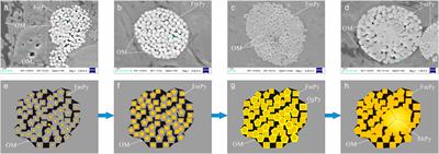 Genetic Mechanism of Pyrite in the Shale of the Longmaxi Formation and Its Influence on the Pore Structure: A Case Study of the Changning Area, South Sichuan Basin of SW China